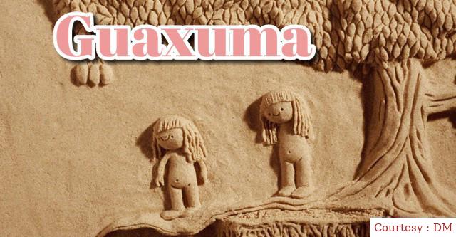 Guaxuma