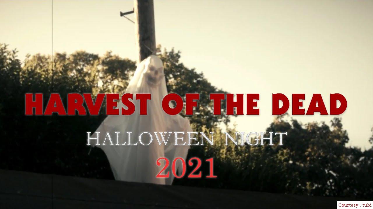 Harvest of the Dead: Halloween Night