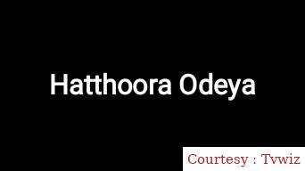 Hatthoora Odeya