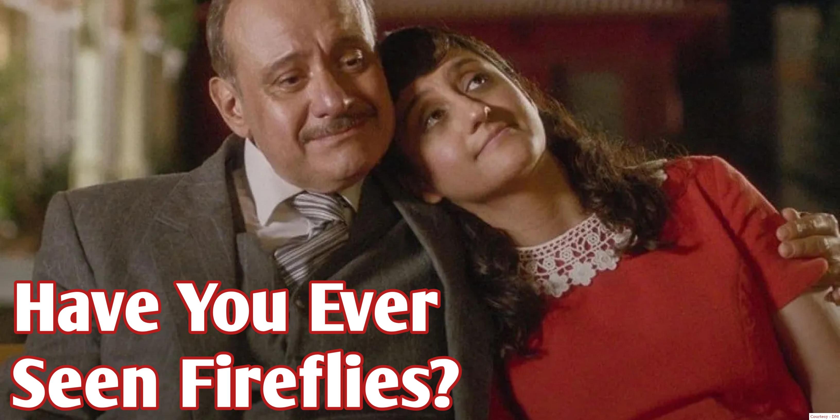 Have You Ever Seen Fireflies?