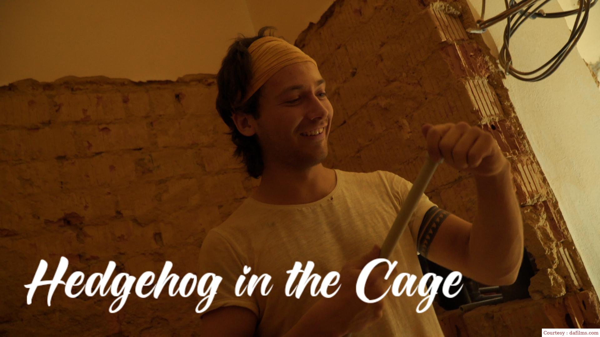 Watch Free  Hedgehog in the Cage Full Movie Online