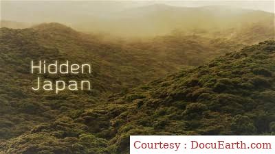 Watch Free  Hidden Japan Full Movie Online