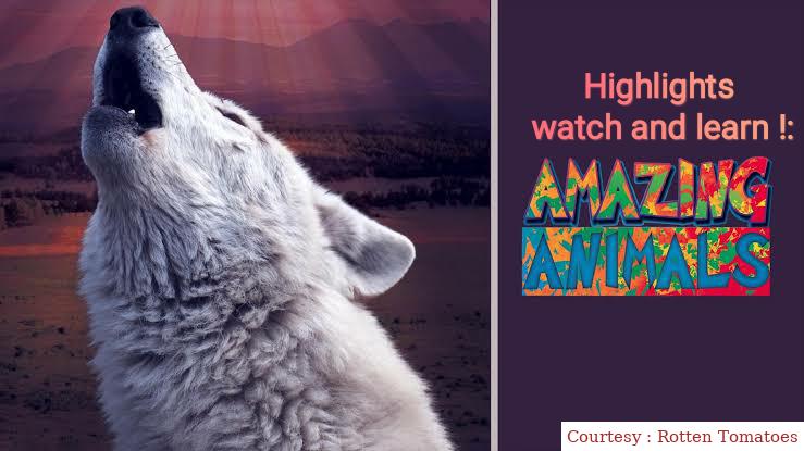 Highlights Watch & Learn!: Amazing Animals!