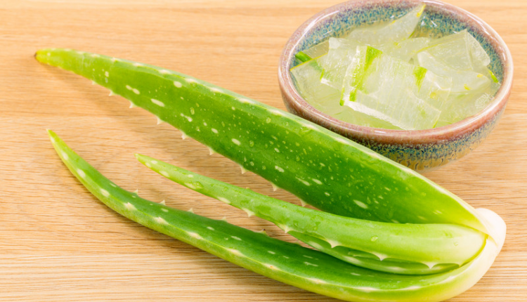 Homemade aloe vera gel and get soft and shiny hair
