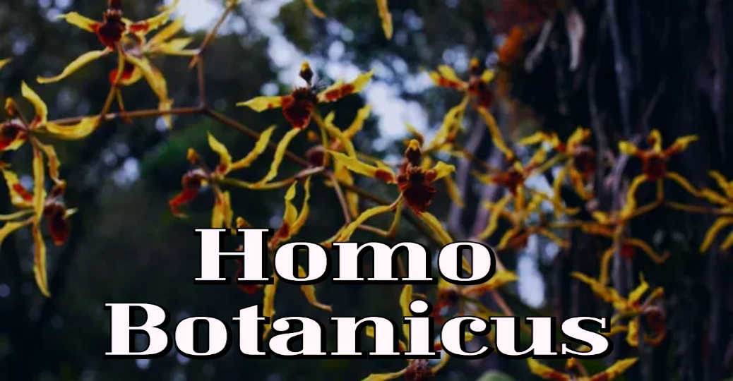 Homo Botanicus