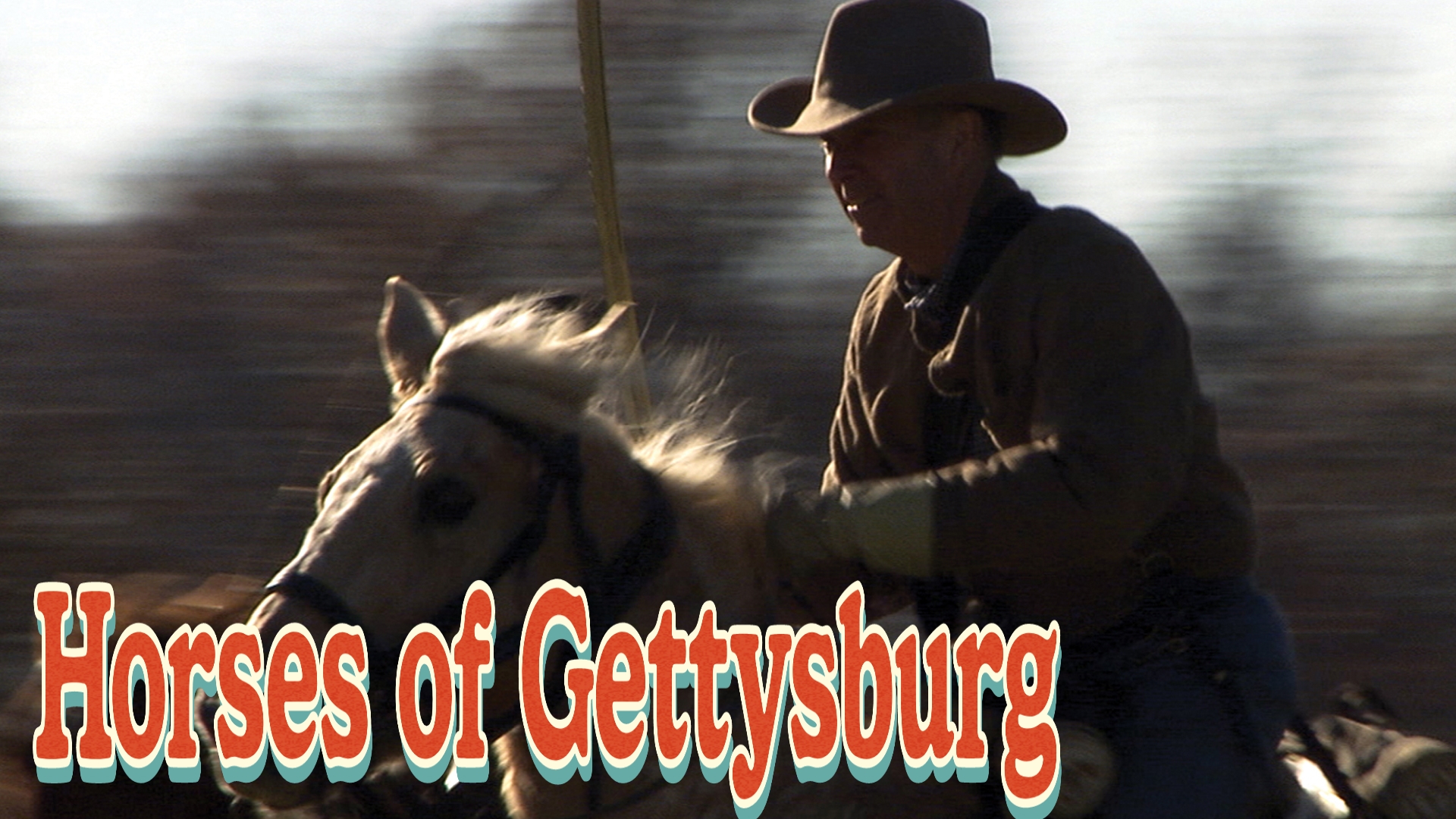 Horses of Gettysburg 