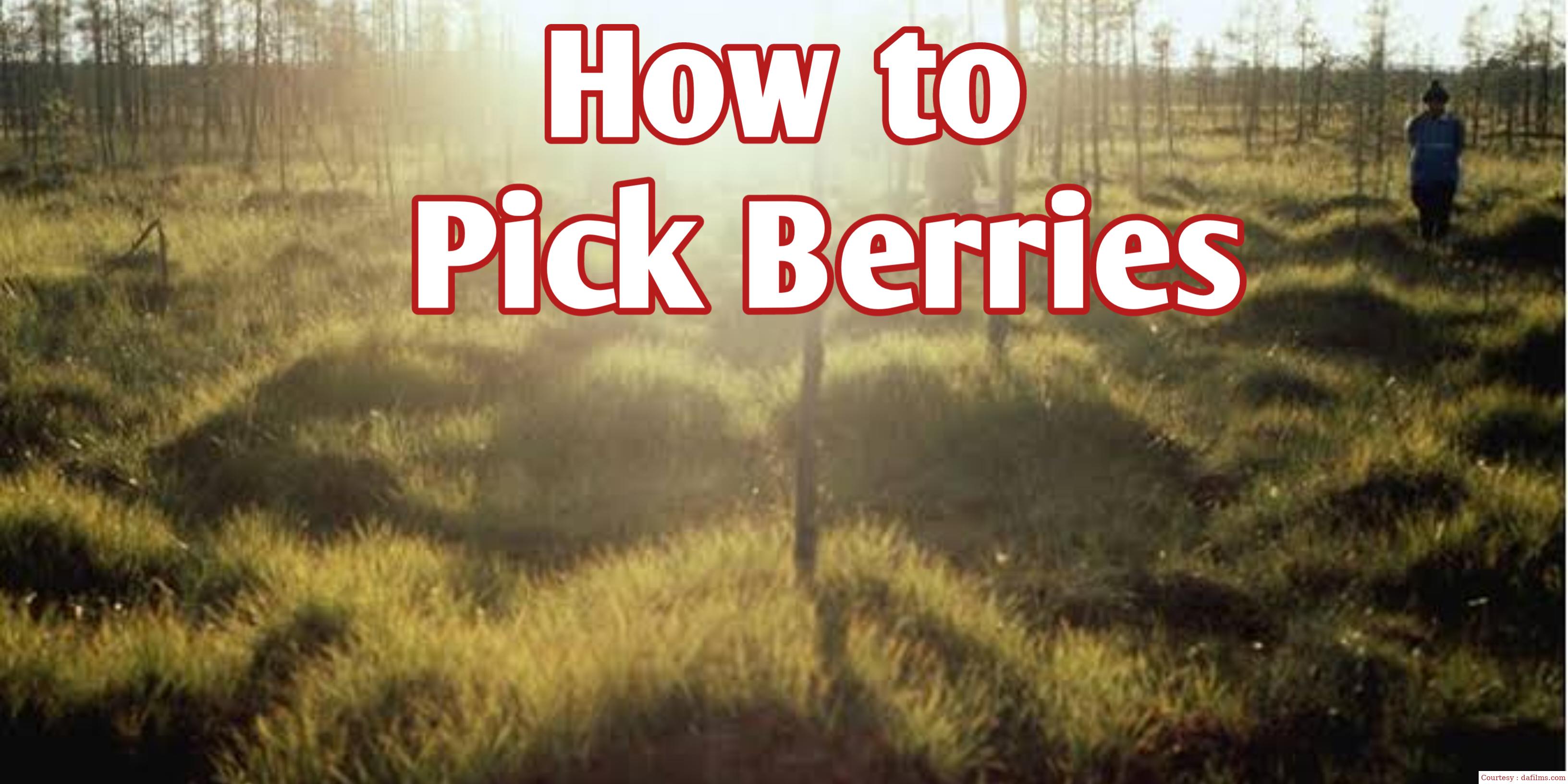 How to Pick Berries