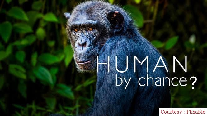 Human By Chance?