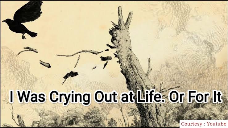 I Was Crying Out at Life. Or For It