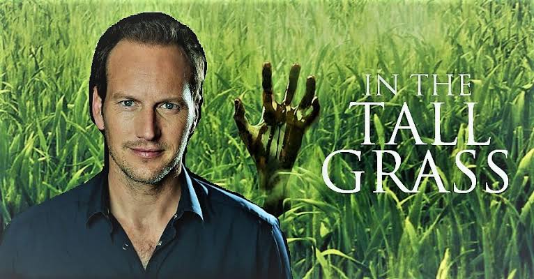 In the Tall Grass