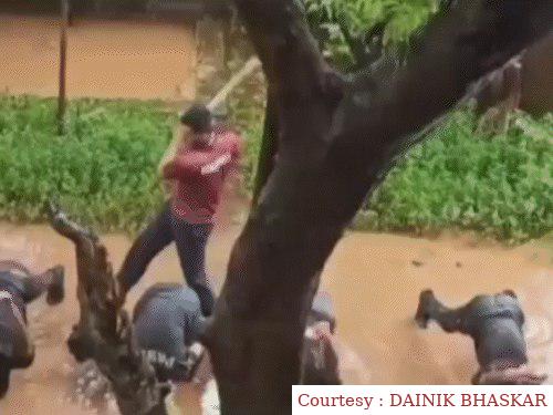 ट्रेनिंग के नाम पर NCC कैडेट्स को बेरहमी से पीटा, कीचड़ में कराया ट्रेनिंग।