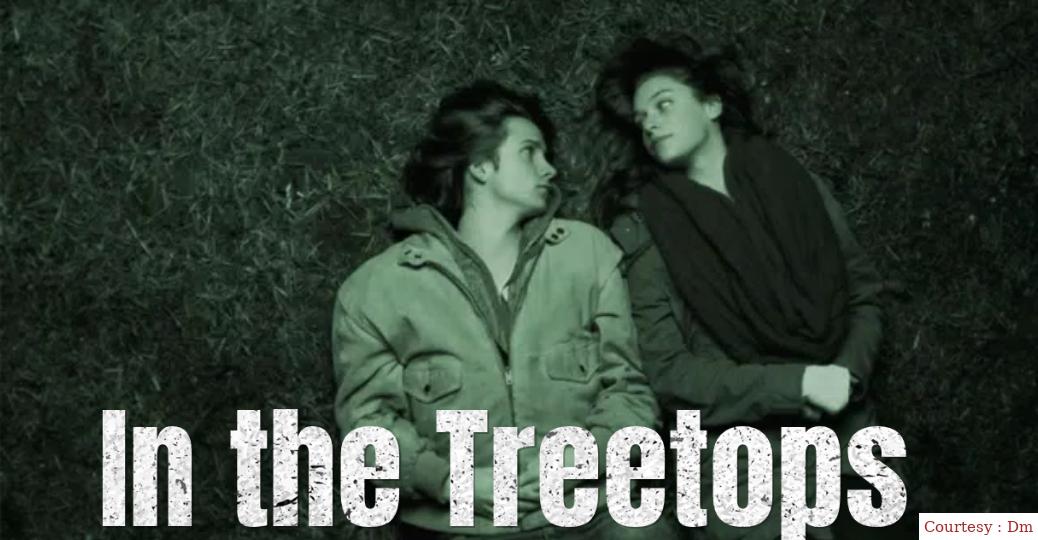 In the Treetops