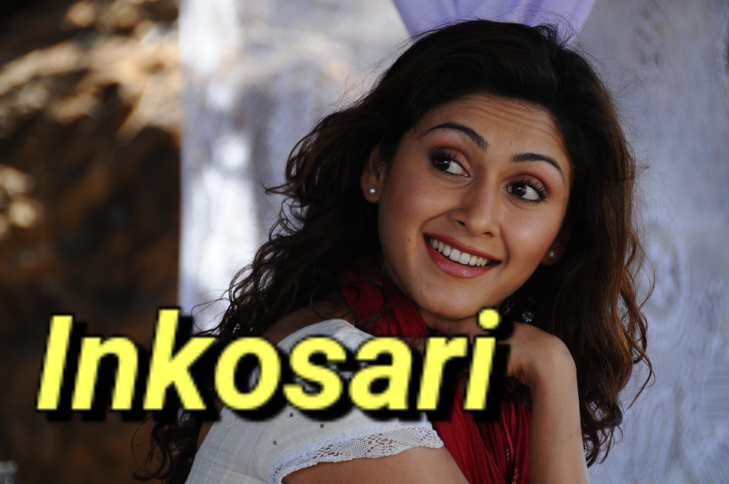 Watch Free Inkosari Full Movie Online