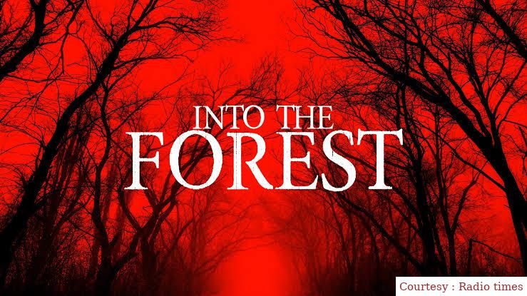 Into the Forest