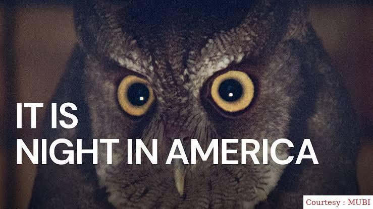 It Is Night in America 