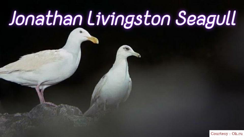 Jonathan Livingston Seagull