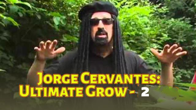 Jorge Cervante's Ultimate Grow 2 