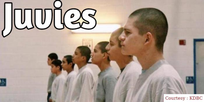 Watch Free  Juvies Full Movie Online