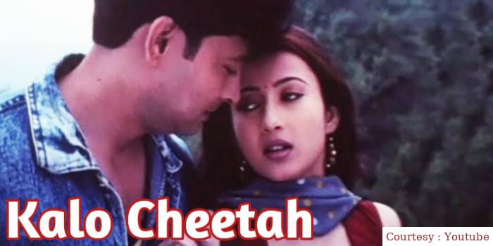 Kalo Cheetah 