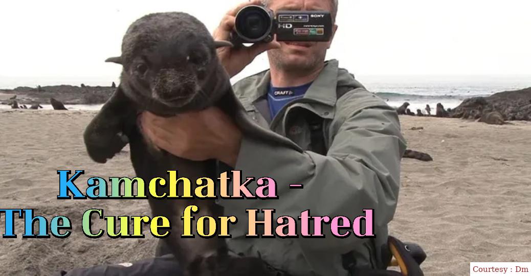 Kamchatka - The Cure for Hatred 