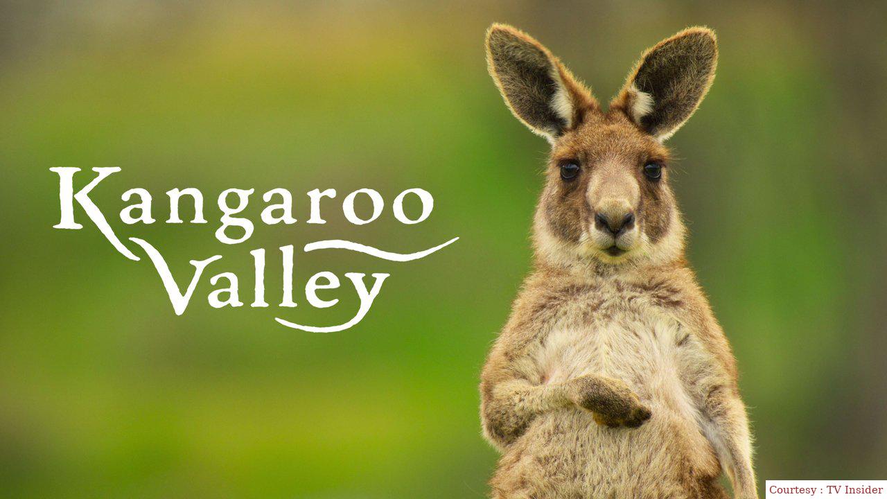 Kangaroo Valley