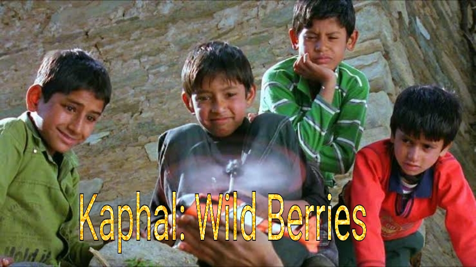 Kaphal: Wild Berries