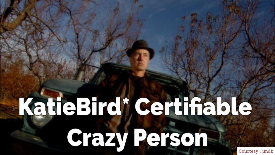 Watch Free  KatieBird* Certifiable Crazy Person Full Movie Online