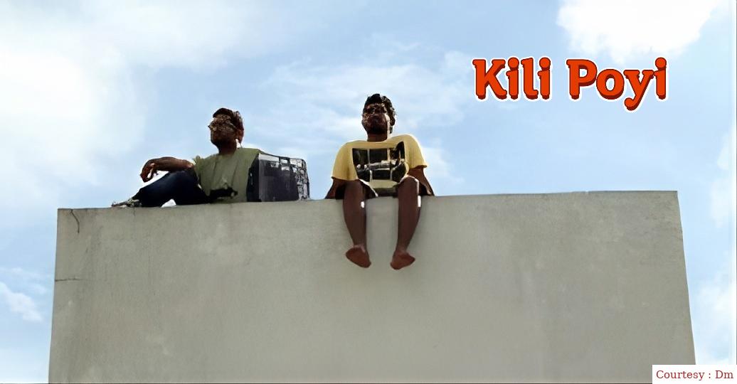 Kili Poyi