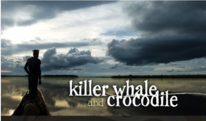 Killer Whale and Crocodile