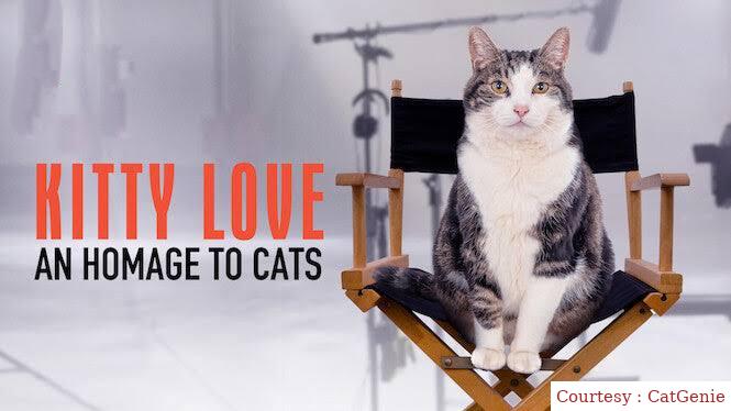 Kitty Love: An Homage to Cats