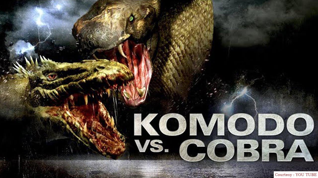 Komodo vs. Cobra