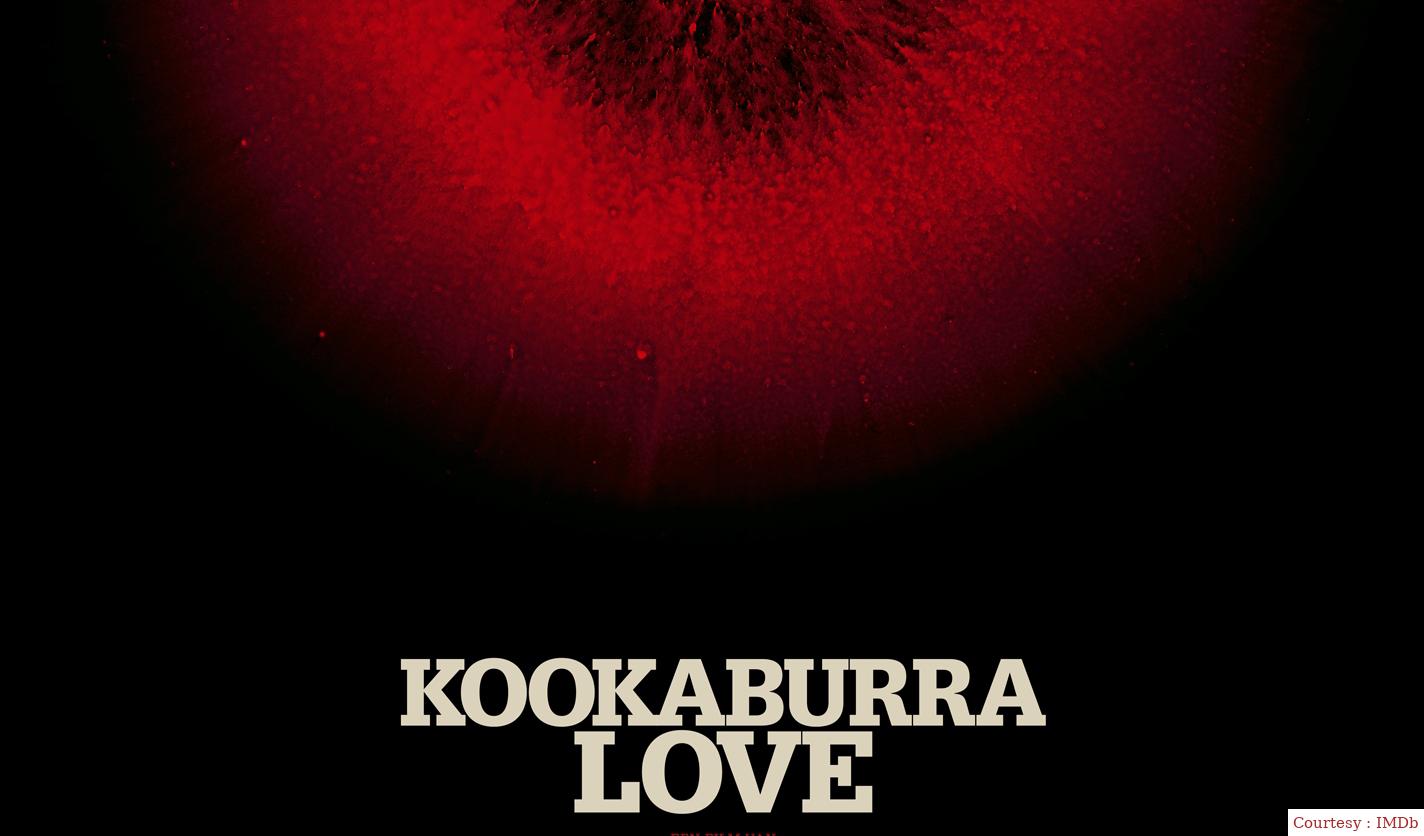Kookaburra Love