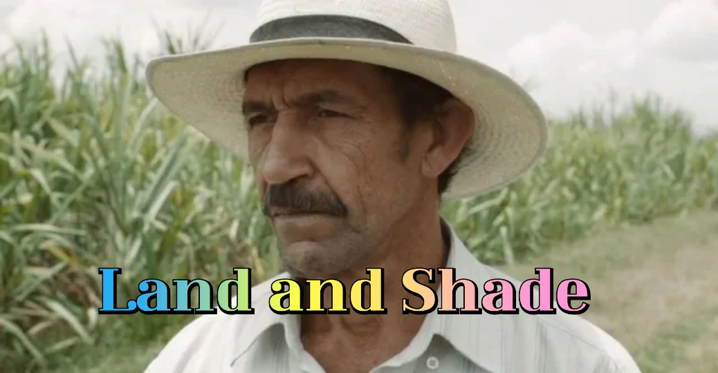 Land and Shade 