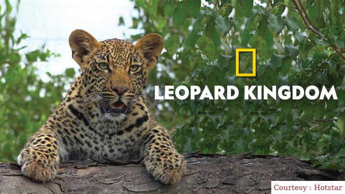 Watch Free  Leopard Kingdom Full Movie Online
