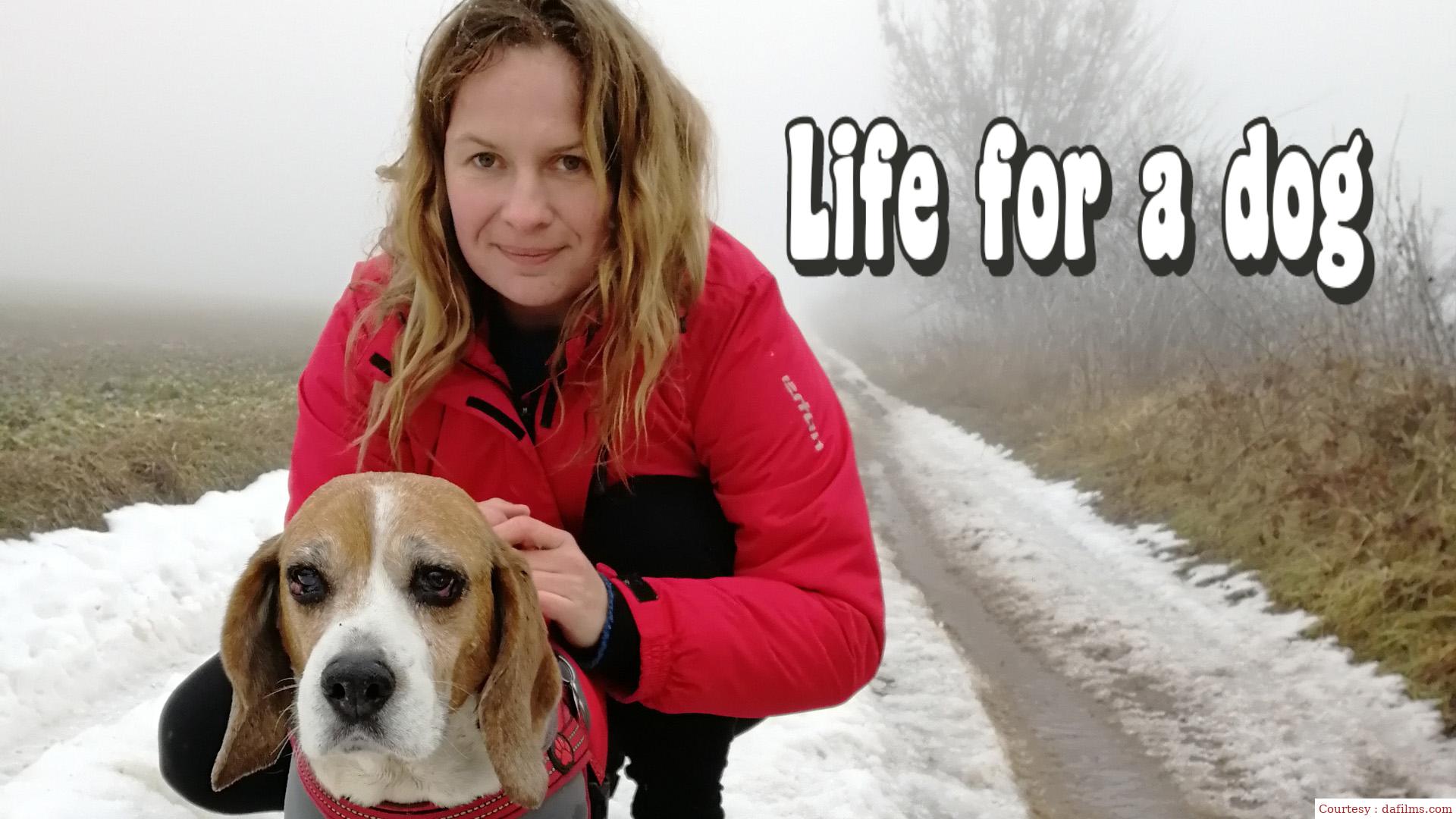 Watch Free  Life for a dog Full Movie Online