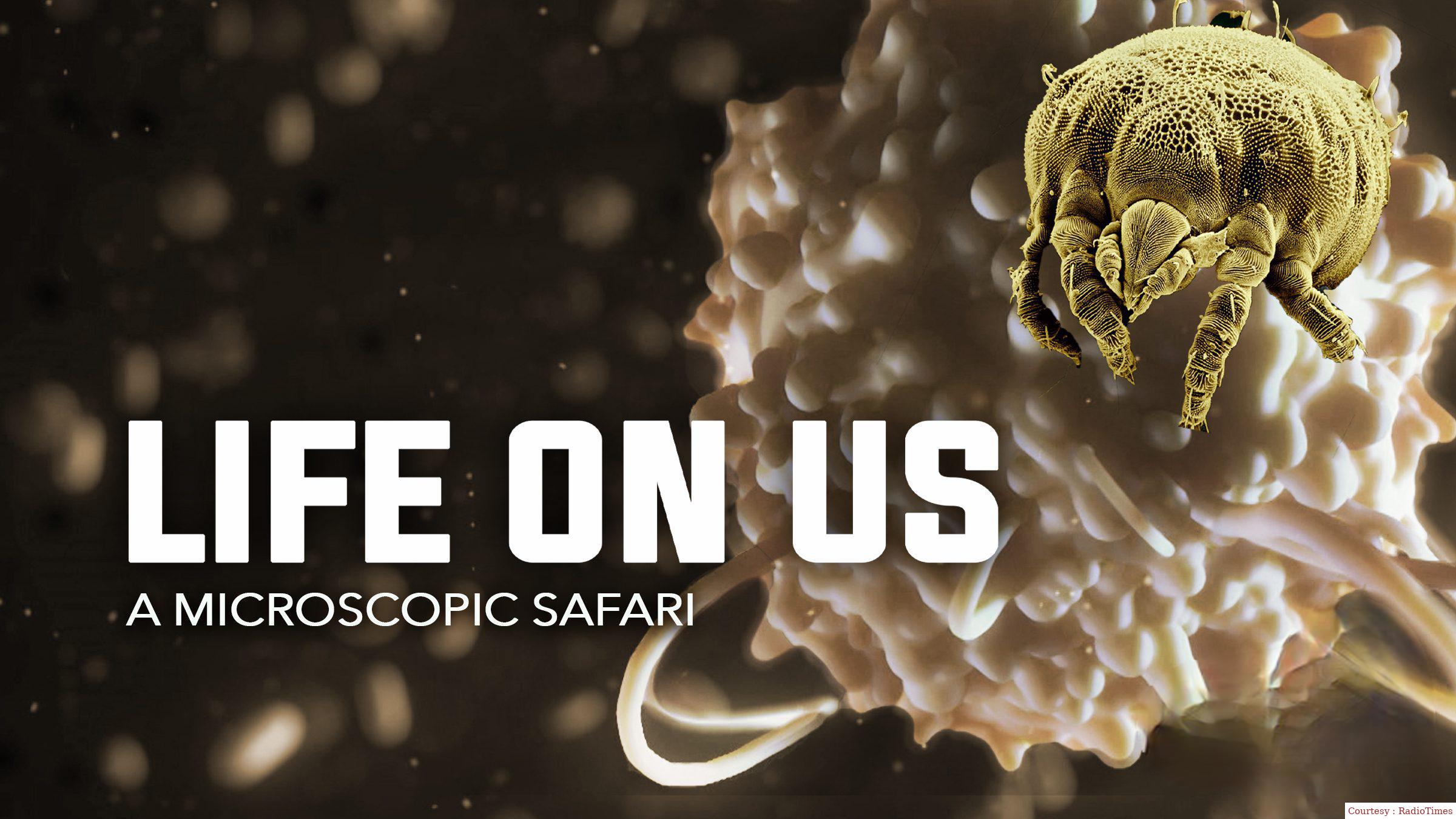 Life on Us: A Microscopic Safari