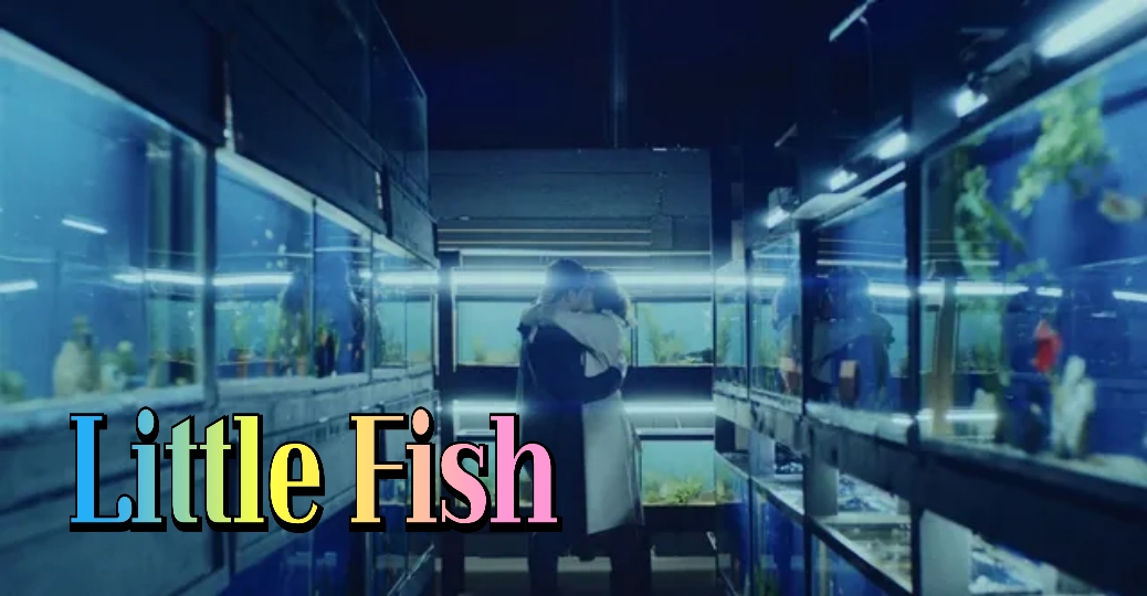 Little Fish 