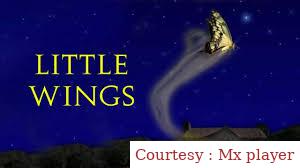Watch Free  Little Wings Full Movie Online