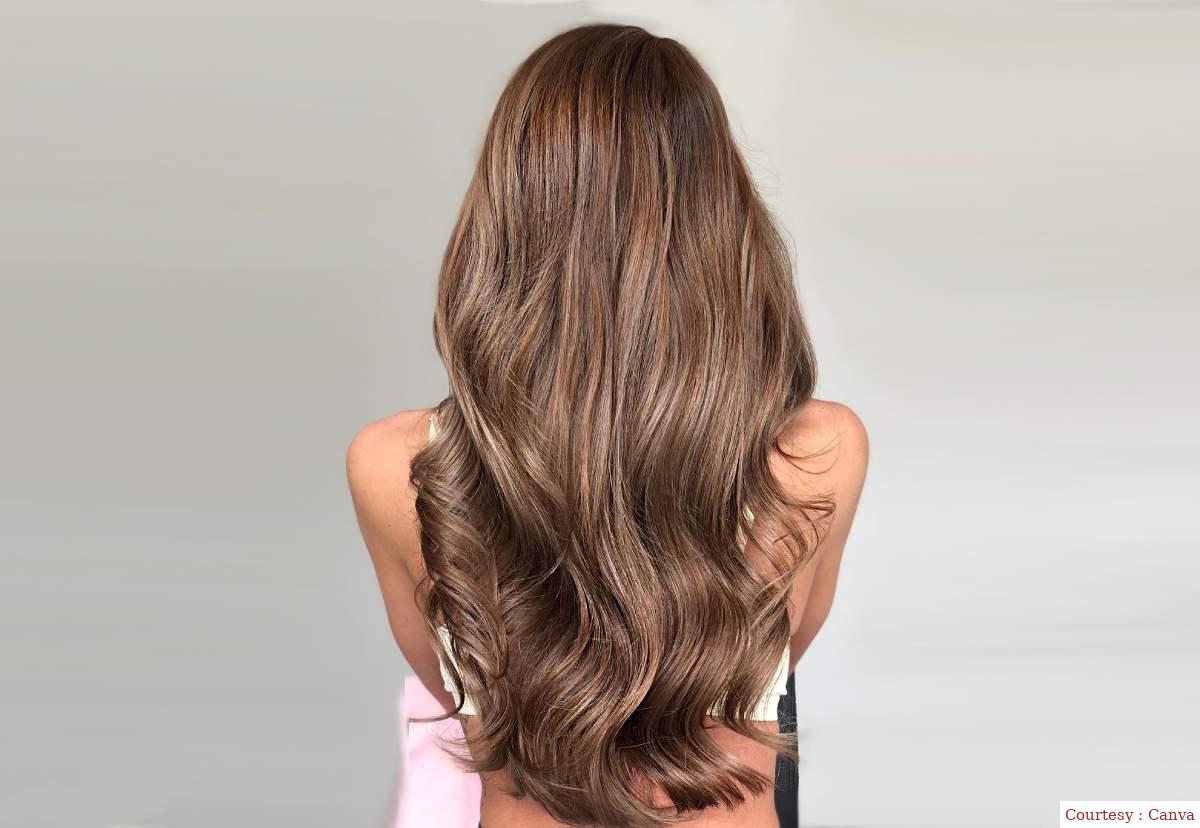 Long hair from domestic things