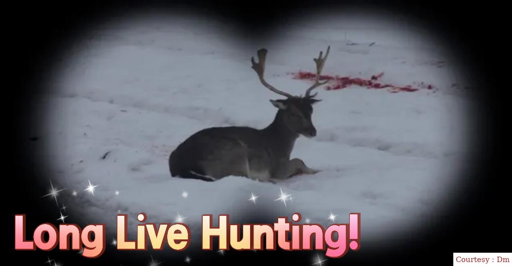Long Live Hunting!