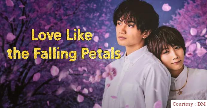 Watch Free  Love Like the Falling Petals Full Movie Online
