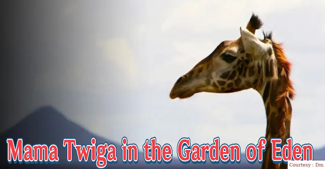Mama Twiga in the Garden of Eden