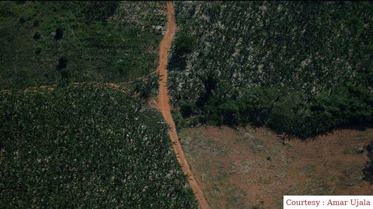 क्रैश हुए विमान से बचाए गए कई बच्चे।