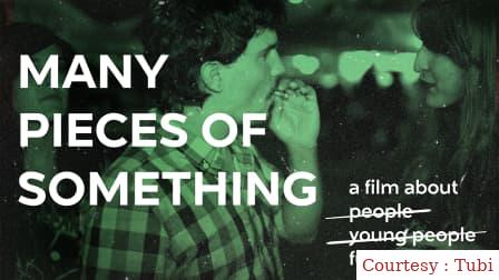 Many Pieces of Something 