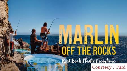 Marlin Off The Rocks: Rock Beats Plastic Every Time
