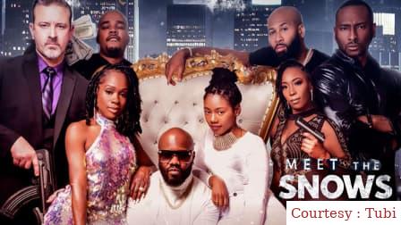 Watch Free  Meet the Snows Full Movie Online