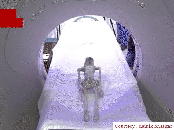 Mexico has not tampered with alien skeletons, it has been proved by testing.