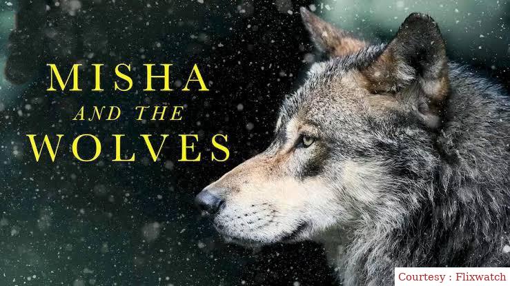 Misha and the Wolves
