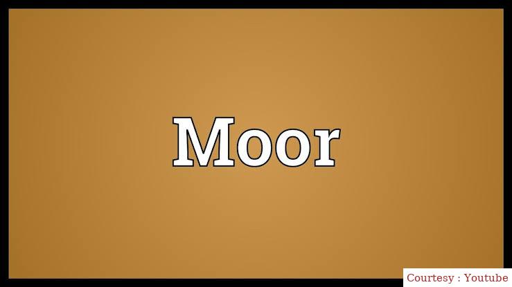 Moor