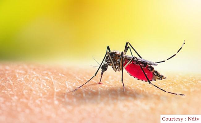 More than 1000 people died due to dengue in Bangladesh